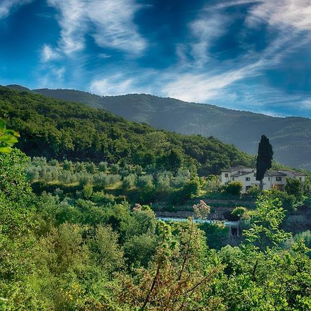 Willa Castellina Di Bocco Castiglion Fibocchi Zewnętrze zdjęcie